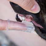 Fingertannkost til hund (2stk)